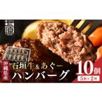 肉 ハンバーグ 石垣牛&あぐーハンバーグセット
