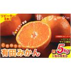 ふるさと納税 果物類 みかん 和歌山県 すさみ町  2025年12月発送分 みかん 有田みかん 家庭用 こだわりの有田みかん 約5kg＋250g(傷み補償分) サイズ混合 北海…