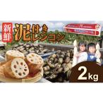 人参 大根 他根菜 泥付き レンコン 2kg