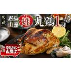 鶏肉 たしろ屋 都城産キジ 丸鶏1羽 みやこんじょ特急便