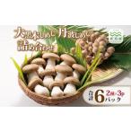 ふるさと納税 野菜類 きのこ 京都府 京丹波町 大黒本しめじ 丹波しめじ 詰め合わせ （ 国産 京都 きのこ キノコ 丹波 しめじ 本シメジ はたけしめじ カット 食…