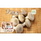 ふるさと納税 野菜類 きのこ 京都府 京丹波町 大黒本しめじ 京柄 6パックセット （ 国産 京都 きのこ キノコ 丹波 しめじ 食感 シャキシャキ 旨味たっぷり 天…
