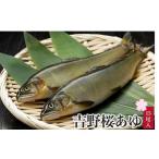 川魚 あゆ アユ 吉野桜あゆ 15尾入