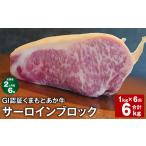 牛肉 サーロイン 上 R8年熊本地震復興支援