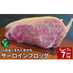 牛肉 サーロイン 上 R8年熊本地震復興支援