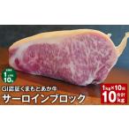 牛肉 サーロイン 上 R8年熊本地震復興支援