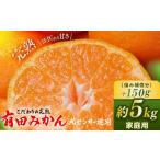 ふるさと納税 果物類 みかん 和歌山県 美浜町 ＼光センサー選別／こだわりの完熟有田みかん 5kg＋150g(傷み補償分) ご家庭用 サイズ混合 有機質肥料100% ｜ み…