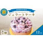 アイス ヨーグルト ジェラート ジェラートケーキ