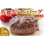 牛肉 ハンバーグ レンジで 佐賀牛ハンバーグ