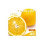 希少な 柑橘 紀州 有田産 ブラッド オレンジ 3kg