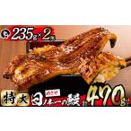 うなぎ 日ノ本一の鰻の蒲焼き 特大 2尾セット 計470g以上