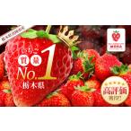 ふるさと納税 いちご 栃木県 真岡市 チョイス限定 2026年先行予約 とちあいか 大粒 500g以上 | いちご日本一 ミス苺 応援 農林水産省 最多獲得 苺 ストロベリ…