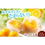 ふるさと納税 和菓子 広島県 福山市 お菓子 はっさく大福12個入 お菓子 大福 八朔 柑橘 みかん オレンジ 餅 ギフト お取り寄せ スイーツ フルーツ大福 ご当地 …