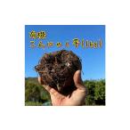 野菜類 有機こんにゃく芋 約1kg