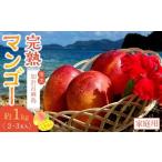 ショッピングふるさと納税 マンゴー ふるさと納税 マンゴー 鹿児島県 瀬戸内町  2026年先行予約 奄美 加計呂麻島 完熟マンゴー 家庭用 約1kg（2〜3玉入り）化粧箱 完熟マンゴー 化粧箱 果物 マン…