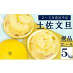 土佐文旦 優品 5kg