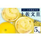 ふるさと納税 みかん・柑橘類 高知県 須崎市 2026年2月上旬から発送 訳あり 文旦 高知 5kg L 〜 4L サイズ 混合 浦ノ内特産 早期予約 予約受付中 期間限定 季…