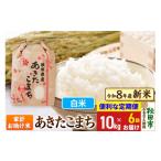 白米 あきたこまち 精米 ブランド米 定期便