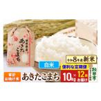白米 あきたこまち 精米 ブランド米 定期便