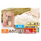 白米 あきたこまち 精米 ブランド米 定期便