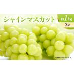 ふるさと納税 ぶどう マスカット 宮城県 岩沼市 8月中旬より発送 ぶどう シャインマスカット 約1kg 2房 大粒サイズ 岩沼市産 No.5704-0834