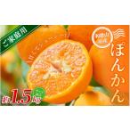 森本農園の手選別 ポンカン 約1.5kg