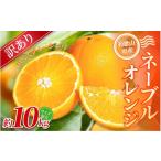 ふるさと納税 みかん・柑橘類 和歌山県 かつらぎ町  訳あり 森本農園の手選別 ネーブルオレンジ 約10kg 和歌山県産 サイズ混合 北海道・沖縄・離島配送不可 20…