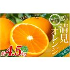 みかん 柑橘類 ご 森本農園の手選別 清見オレンジ 約4.5kg