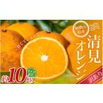 ふるさと納税 みかん・柑橘類 和歌山県 かつらぎ町  訳あり 森本農園の手選別 清見オレンジ 約10kg 和歌山県産 サイズ混合 北海道・沖縄・離島配送不可 2026年…