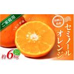 みかん セミノールオレンジ 約6kg