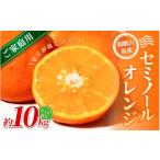 みかん セミノールオレンジ 約10kg