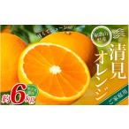 みかん 清見オレンジ 約6kg