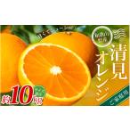 みかん 清見オレンジ 約10kg
