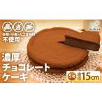 ケーキ カステラ チョコレートケーキ 低糖質