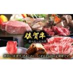 牛肉 セット 定期便6回 佐賀牛食べ比べ定期便