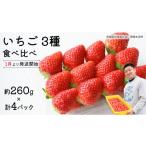 ふるさと納税 いちご 茨城県 牛久市  先行予約 いちご 3種 食べ比べセット（4パック×1箱) 2026年1月から発送開始 ( 茨城県共通返礼品 : 常陸太田市 ) 約 260g…