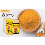加工品等 春ウコン 1個