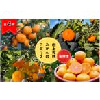 果物類 みかん 全4回定期便 樹上完熟みかんフルコース