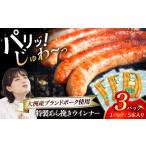 肉 ソーセージ ウィンナー 特製ウインナー 5本入り