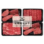 牛肉 焼肉 バーベキュー 都萬牛 黒毛和牛定期便セット
