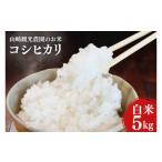 ふるさと納税 米 コシヒカリ 栃木県 益子町 \先行予約・10月より順次発送予定/ 山?観光農園のお米 コシヒカリ 白米 5kg|栃木県 益子町 ふるさと納税 お米 …