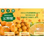 果物類 みかん 3回定期便 10 11 12月