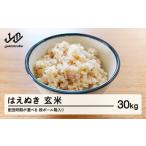 ふるさと納税 米 はえぬき 山形県 山辺町 配送時期が選べる 《先行予約》 2025年産 令和7年産 山形県産 はえぬき 玄米 30kg(段ボール箱入り)(2025年12月前…
