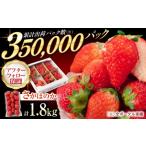 いちご さがほのか 約150g×12パック