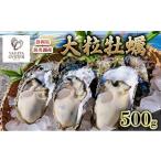 ふるさと納税 牡蠣 静岡県 浜松市 2026年1月より順次発送 浜名湖産かき大粒むき身500g(加熱用)先行予約 牡蠣 海鮮 魚介 国産 浜名湖産 貝付き 生牡蠣 焼き…