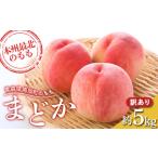 ふるさと納税 もも 青森県 南部町 訳あり もぎたて発送 桃 まどか 約5kg (10〜18個) 誠果園 家庭用 規格外 わけあり ワケアリ 訳アリ もも モモ 青森県 南部…