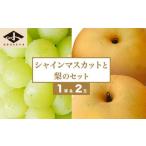 ぶどう マスカット シャインマスカット1房と梨2玉