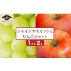 果物の詰合せ シャインマスカット1房とりんご2玉 約1.3kg