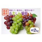果物類 ぶどう お楽しみ葡萄 約2kg