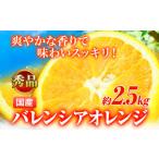 みかん 柑橘類 オレンジ 秀品 希少な バレンシアオレンジ 2…